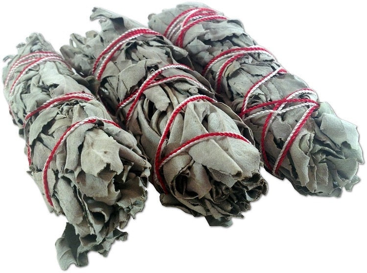 White Sage Smudge Stick Wisp Sage Plant For Room Purification